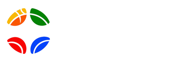 球帝
